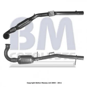 Catalyseur BM CATALYSTS BM80399H