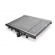 Radiateur, refroidissement du moteur THERMOTEC D7P045TT - Visuel 1