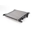 Radiateur, refroidissement du moteur THERMOTEC D7R030TT - Visuel 1