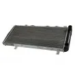 Radiateur, refroidissement du moteur THERMOTEC D7S004TT - Visuel 1