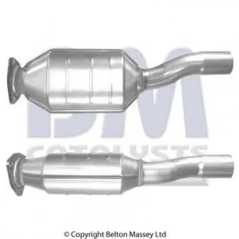 Catalyseur BM CATALYSTS BM80510H