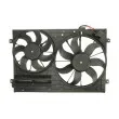 Ventilateur, refroidissement du moteur THERMOTEC D8W032TT - Visuel 1