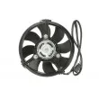 Ventilateur, refroidissement du moteur THERMOTEC D8W033TT - Visuel 2