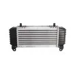 Intercooler, échangeur THERMOTEC DAA007TT - Visuel 2