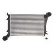 Intercooler, échangeur THERMOTEC DAA010TT - Visuel 1