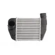 Intercooler, échangeur THERMOTEC DAA013TT - Visuel 1