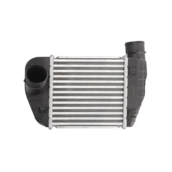 Intercooler, échangeur THERMOTEC DAA013TT