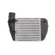 Intercooler, échangeur THERMOTEC DAA013TT - Visuel 2