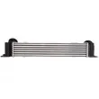 Intercooler, échangeur THERMOTEC DAB003TT - Visuel 2