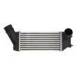 Intercooler, échangeur THERMOTEC DAC001TT - Visuel 1