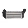 Intercooler, échangeur THERMOTEC DAC001TT - Visuel 2
