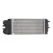 Intercooler, échangeur THERMOTEC DAC002TT - Visuel 2