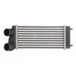 Intercooler, échangeur THERMOTEC DAC004TT - Visuel 1