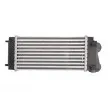 Intercooler, échangeur THERMOTEC DAC004TT - Visuel 2
