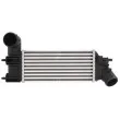 Intercooler, échangeur THERMOTEC DAC005TT - Visuel 1