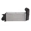 Intercooler, échangeur THERMOTEC DAC005TT - Visuel 2