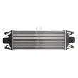 Intercooler, échangeur THERMOTEC DAE001TT - Visuel 1