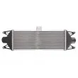 Intercooler, échangeur THERMOTEC DAE001TT - Visuel 2