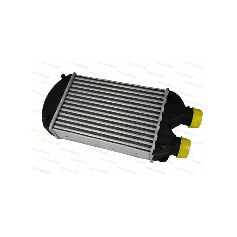 Intercooler, échangeur THERMOTEC DAF002TT