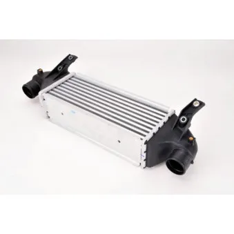 Intercooler, échangeur THERMOTEC DAG001TT