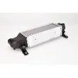 Intercooler, échangeur THERMOTEC DAG001TT - Visuel 2