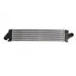 Intercooler, échangeur THERMOTEC DAG007TT - Visuel 1