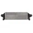 Intercooler, échangeur THERMOTEC DAG012TT - Visuel 2