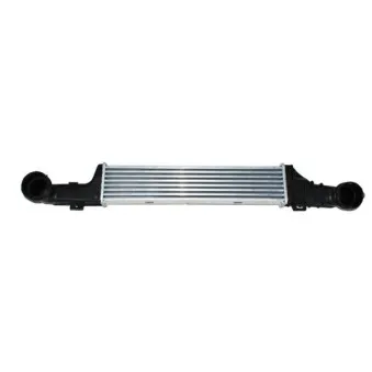 Intercooler, échangeur THERMOTEC DAM002TT