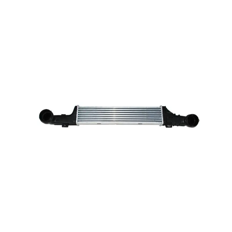 Intercooler, échangeur THERMOTEC DAM002TT