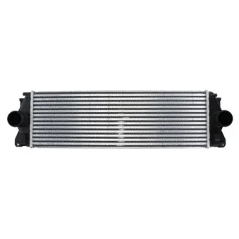 Intercooler, échangeur THERMOTEC DAM004TT