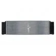 Intercooler, échangeur THERMOTEC DAM004TT - Visuel 2
