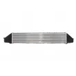 Intercooler, échangeur THERMOTEC DAM005TT - Visuel 2