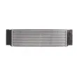 Intercooler, échangeur THERMOTEC DAM006TT - Visuel 2
