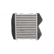 Intercooler, échangeur THERMOTEC DAM012TT - Visuel 2