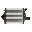 Intercooler, échangeur THERMOTEC DAM013TT - Visuel 1