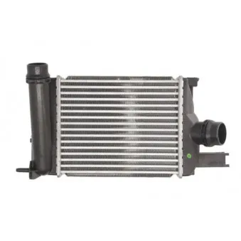 Intercooler, échangeur THERMOTEC DAR004TT