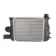 Intercooler, échangeur THERMOTEC DAR004TT - Visuel 2