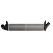 Intercooler, échangeur THERMOTEC DAR005TT - Visuel 1