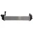 Intercooler, échangeur THERMOTEC DAR007TT - Visuel 2