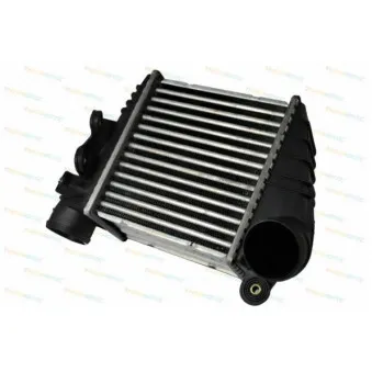 Intercooler, échangeur THERMOTEC DAW001TT