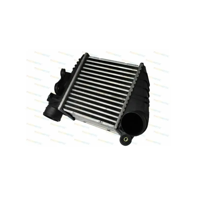 Intercooler, échangeur THERMOTEC DAW001TT
