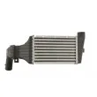 Intercooler, échangeur THERMOTEC DAX001TT - Visuel 1