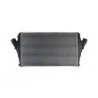 Intercooler, échangeur THERMOTEC DAX002TT - Visuel 2