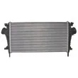 Intercooler, échangeur THERMOTEC DAX004TT - Visuel 2