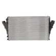 Intercooler, échangeur THERMOTEC DAX005TT - Visuel 2