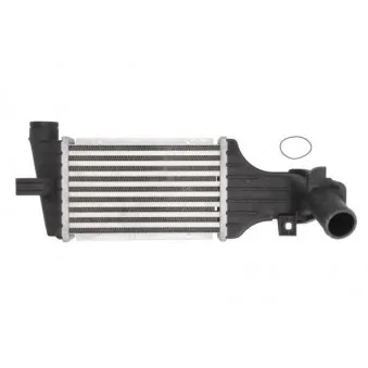 Intercooler, échangeur THERMOTEC DAX006TT