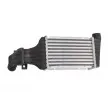 Intercooler, échangeur THERMOTEC DAX006TT - Visuel 2