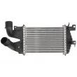 Intercooler, échangeur THERMOTEC DAX007TT - Visuel 1