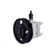 Pompe hydraulique, direction HELLA 8TL 359 003-001 - Visuel 1