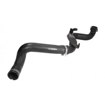 Durite de radiateur THERMOTEC DCF052TT